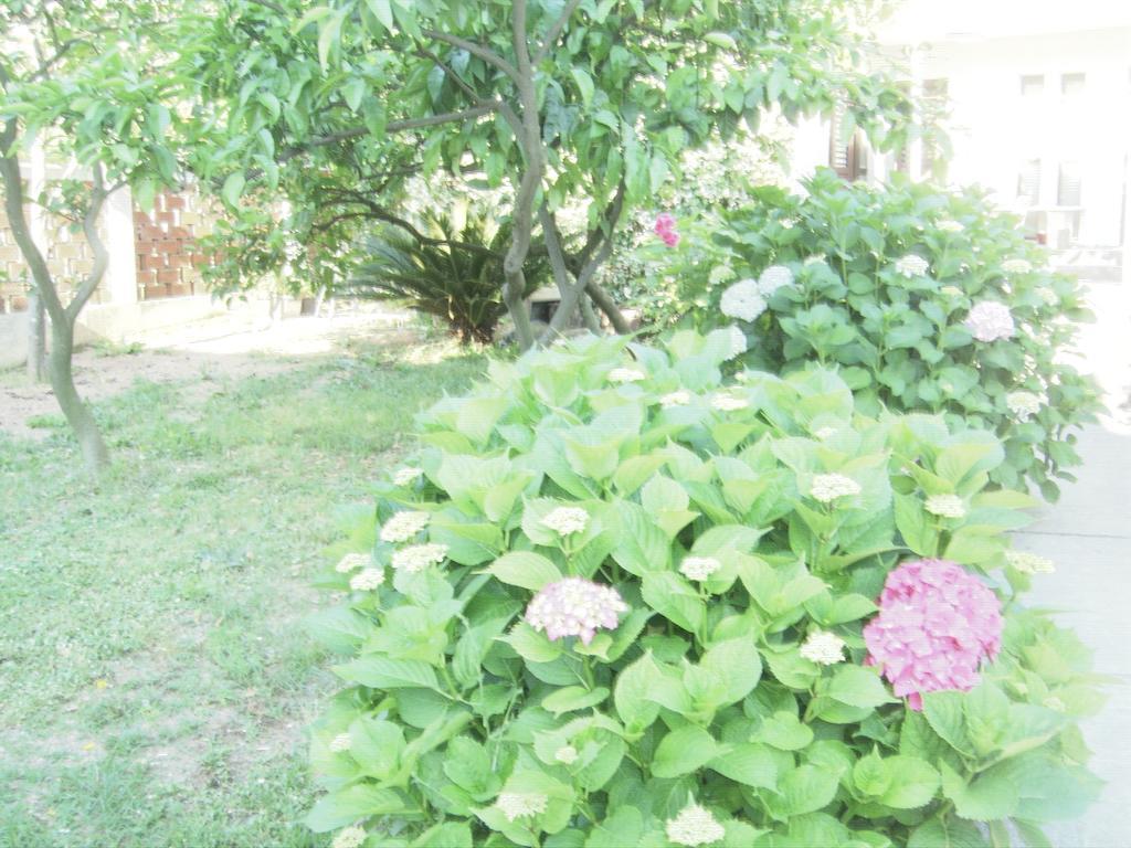 Apartments Budva Center 2 Екстер'єр фото